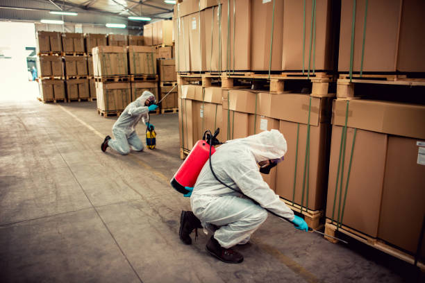 Best Residential Pest Control  in Noblesville, IN