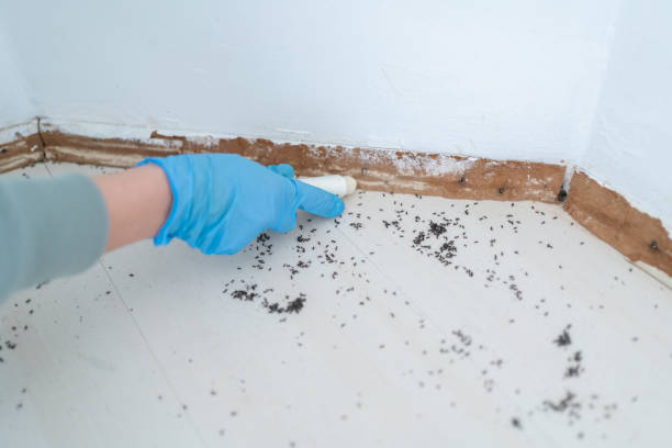 Best Best Pest Control Companies  in Noblesville, IN